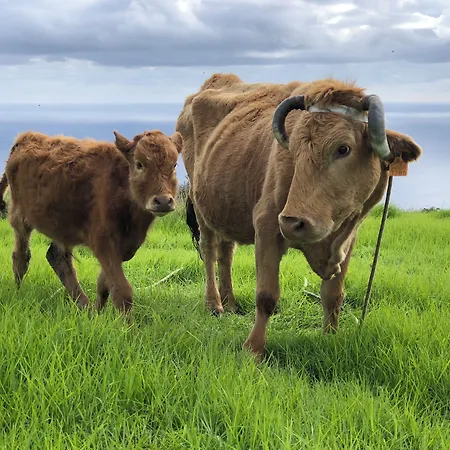 Soulglamping Hotel 4*